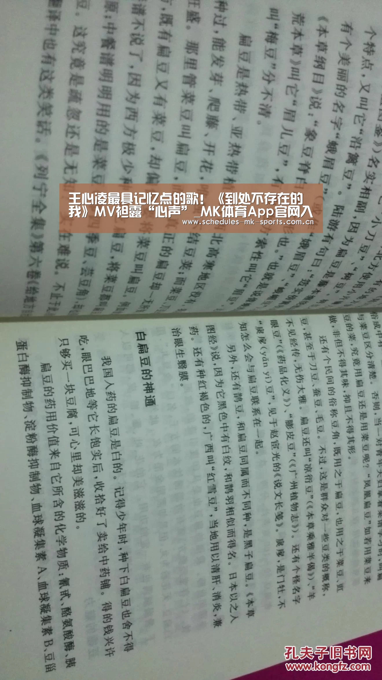 王心凌最具记忆点的歌!《到处不存在的我》MV袒露“心声”_MK体育App官网入口 (图2) MK体育